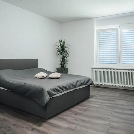 Palace Garden Apartman *