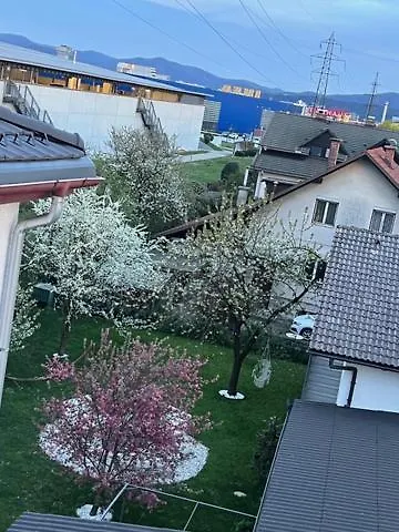 Palace Garden Apartment